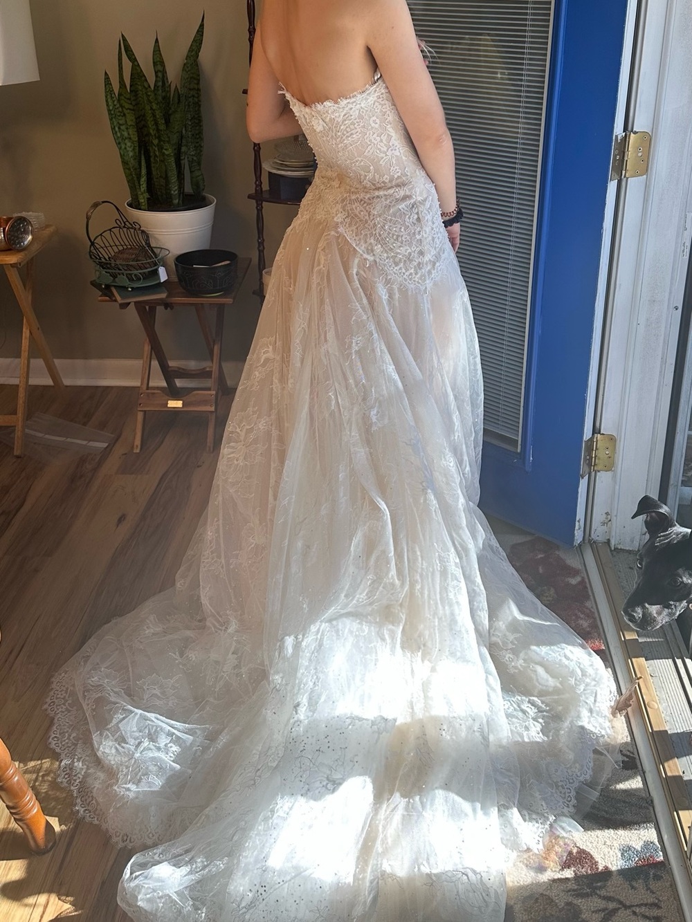 Elegant Lace Wedding Dress - Picture 8 of 10